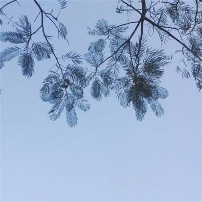 烈焰莽夫手游下载